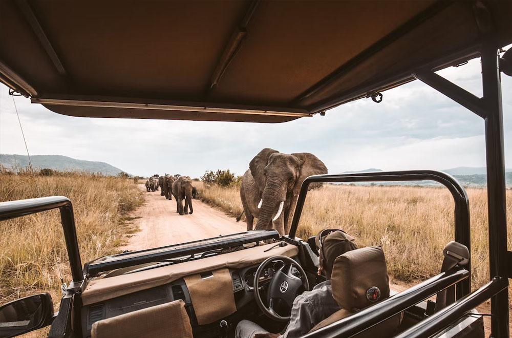 Kenya – An African destination for all!