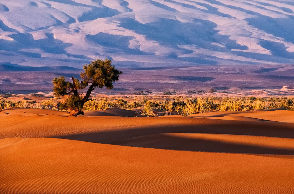 Immigration News from Africa – August/September