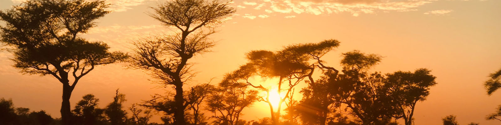 Senegal Immigration and Visas
