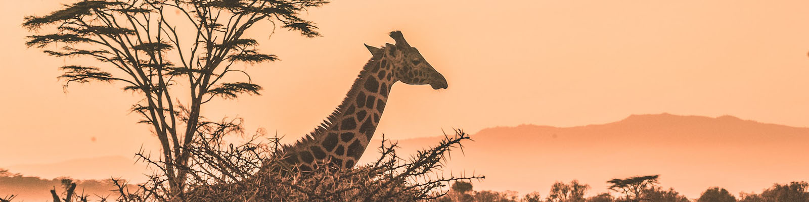 Zambia Immigration and Visas