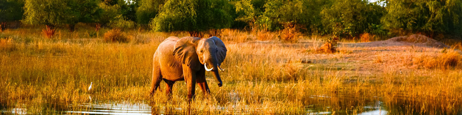 Zimbabwe Immigration and Visas