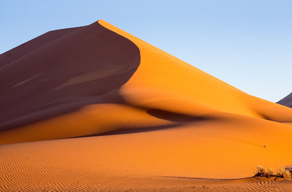 Namibia: Work Visas Go Digital