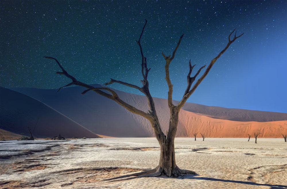 07 Understanding the Role of the Ministry of Labour in Namibia