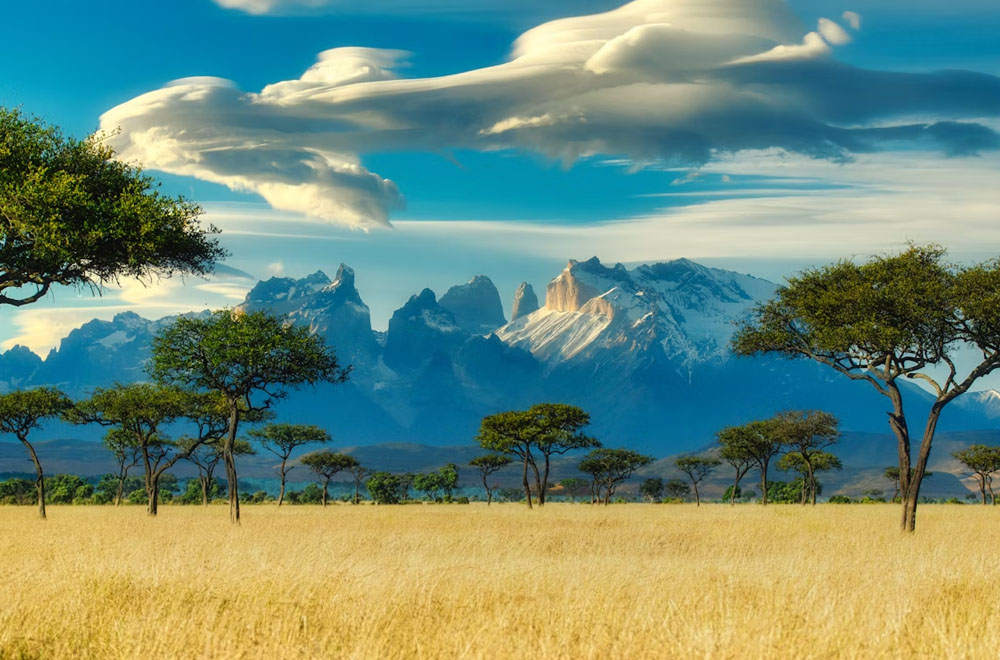 Step by Step Guide: How to Apply for a Business Visa in Kenya 