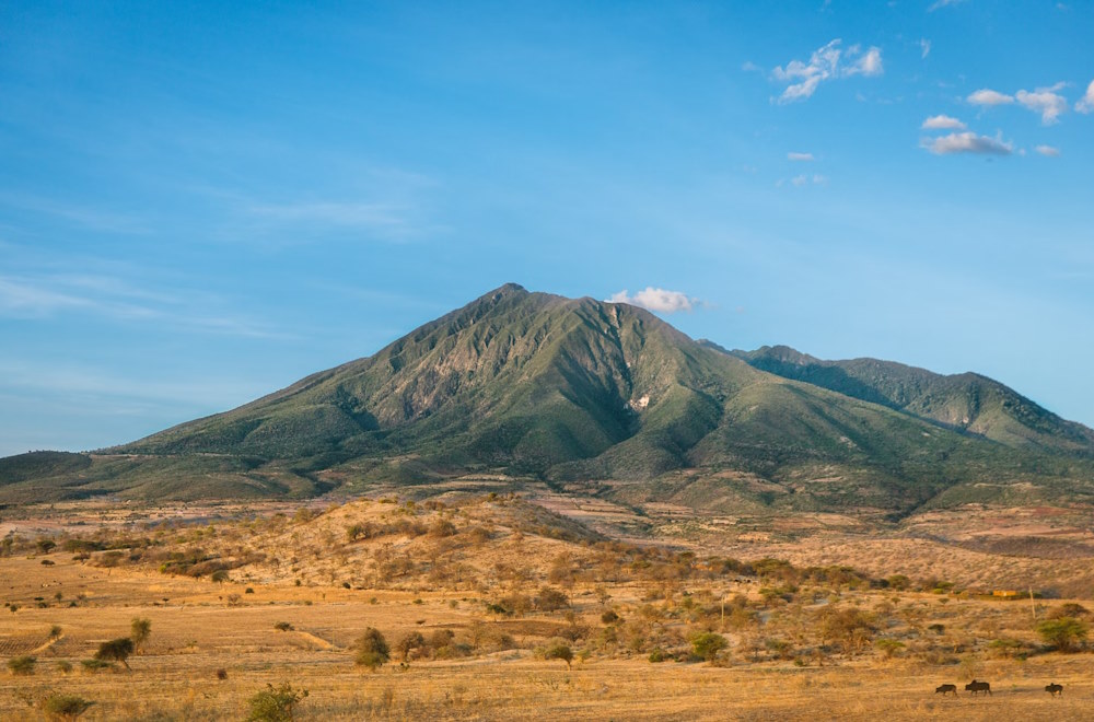 Immigration News from Africa: June/July 2024