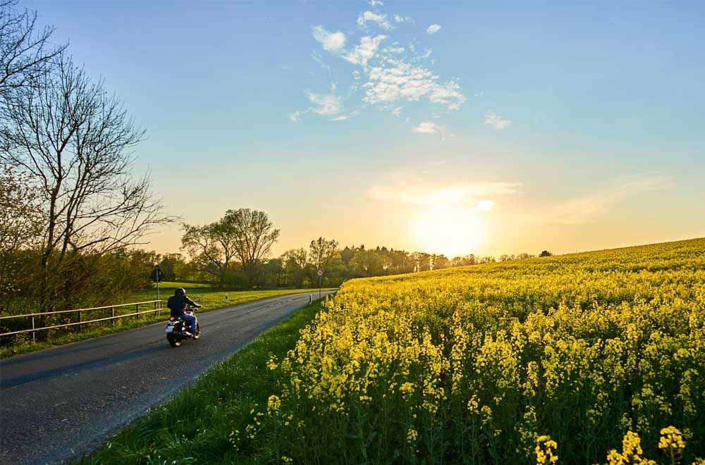 Exploring the German Opportunity Card: A Pathway to Employment for Skilled Workers