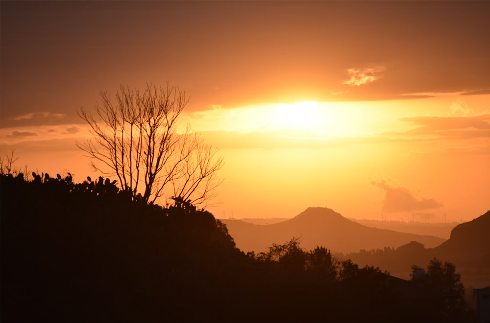 Immigration News from Africa: August/September 2024