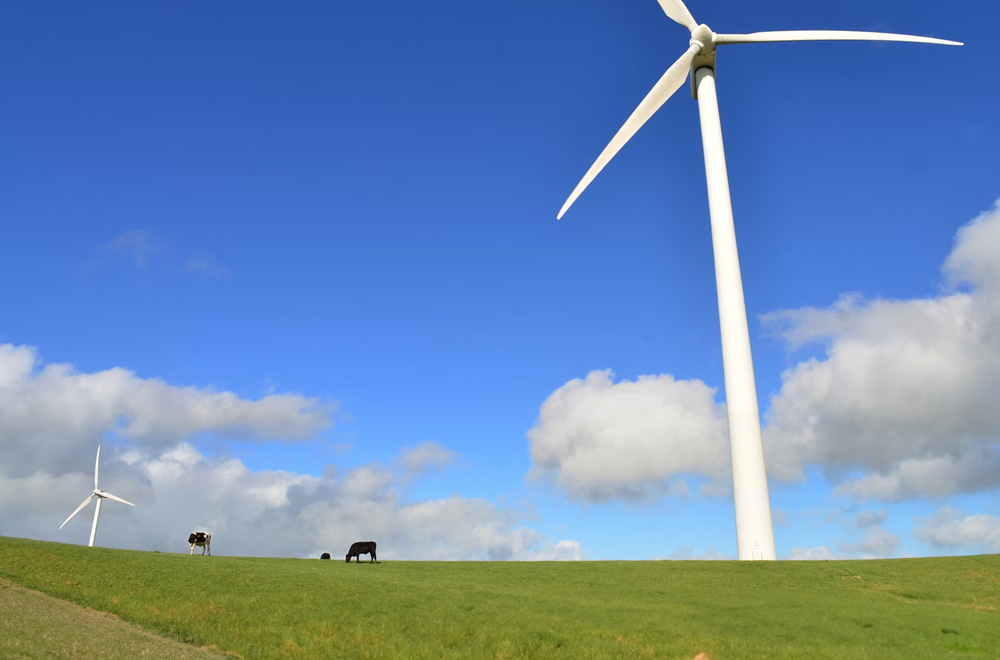 Webinar Update: Exploring Southern Africa’s Energy & Hydrogen Opportunities