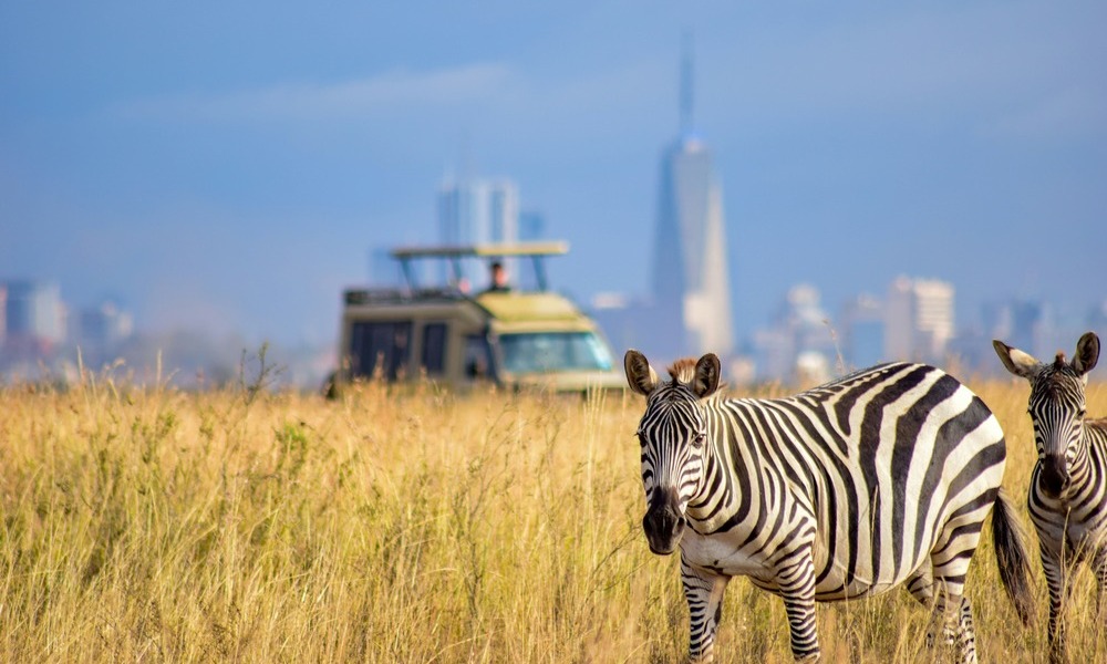 Moving to Nairobi? The Ultimate Weekend Escape Guide for New Expats